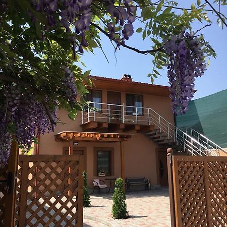 Holiday House Villa Берегово Екстериор снимка