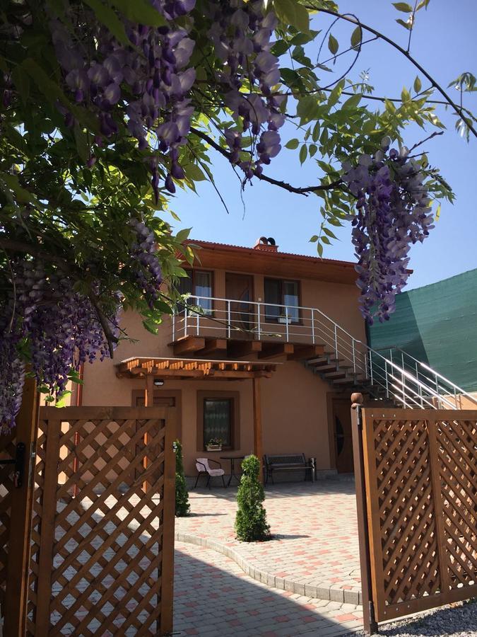 Holiday House Villa Берегово Екстериор снимка